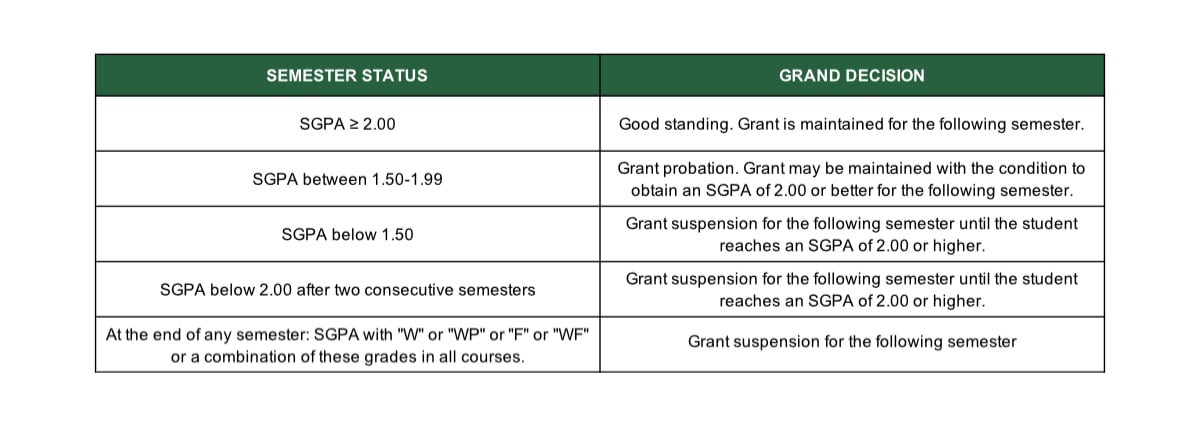 AUI University Undergraduates Grant Renewal Policy