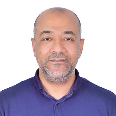 Picture of Hicham Safieddine